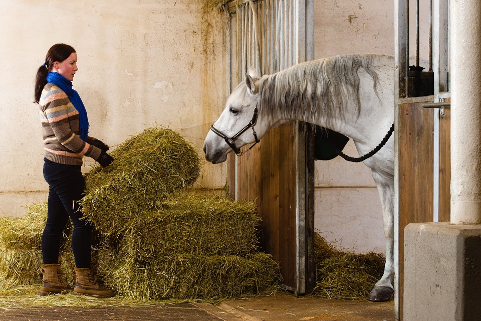 6 Things To Make Barn Chores That Much Easier