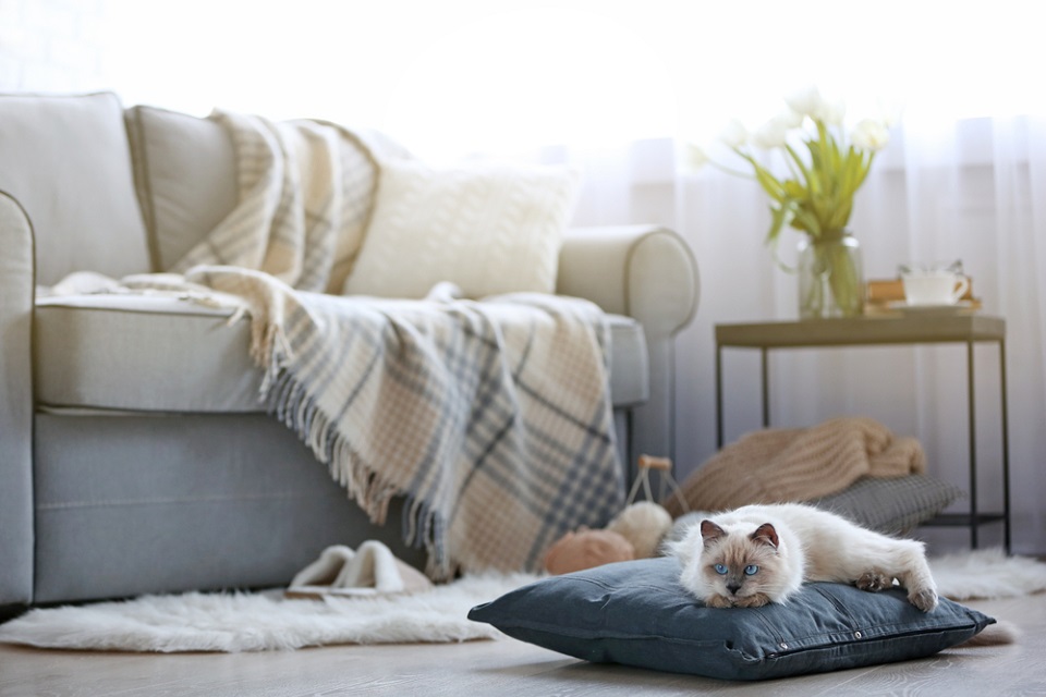How To Improve Your Indoor Air Quality In Winter