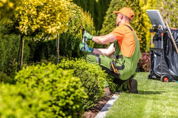 What Do Landscaping Companies Do