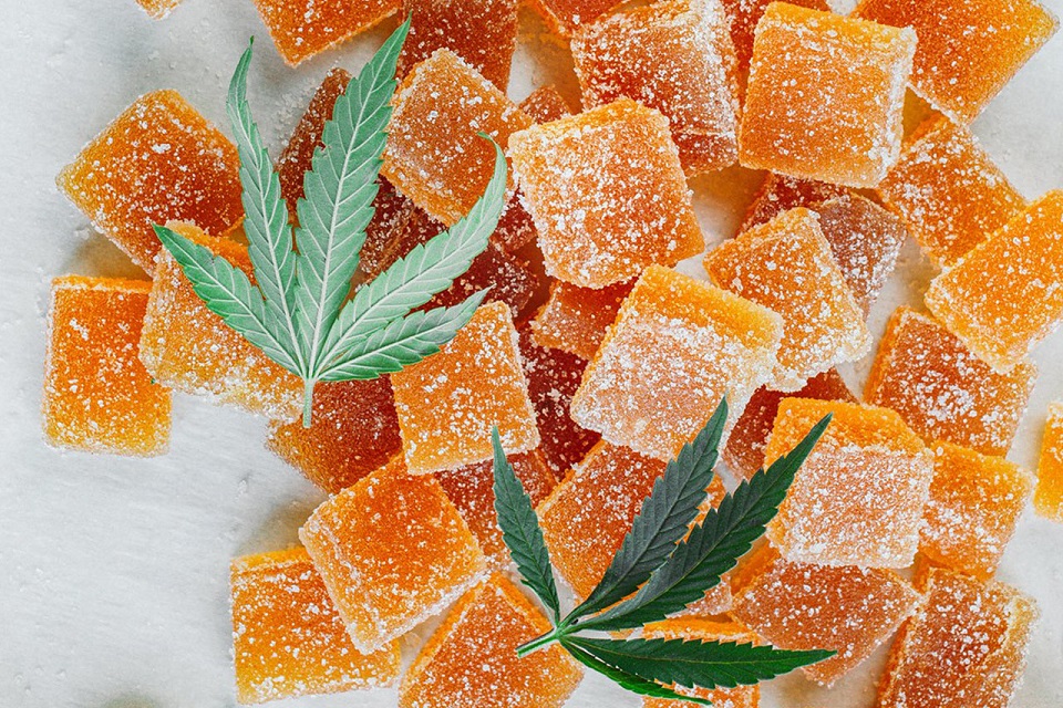 Delta 9 Gummies & The Shift In Recreational Preferences Among The Youth