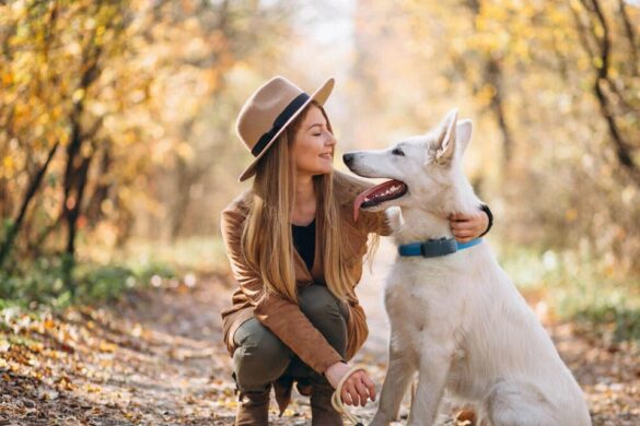 The Perks Of Dog GPS Trackers For Pet Lovers