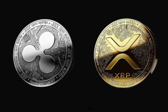Difference Between XDC And XRP