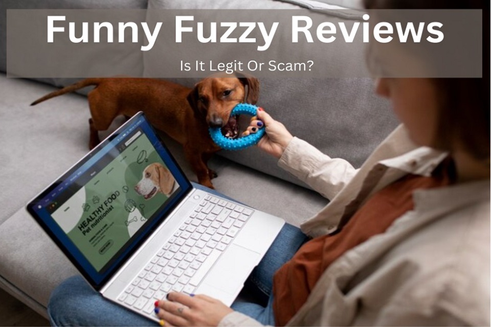 Funny Fuzzy Reviews: Is It Legit Or Scam?