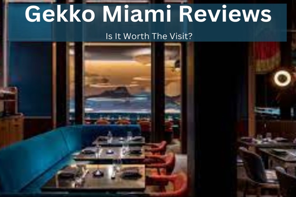 Gekko Miami Reviews: Is It Worth The Visit?
