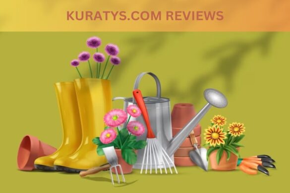 Kuratys.com Reviews