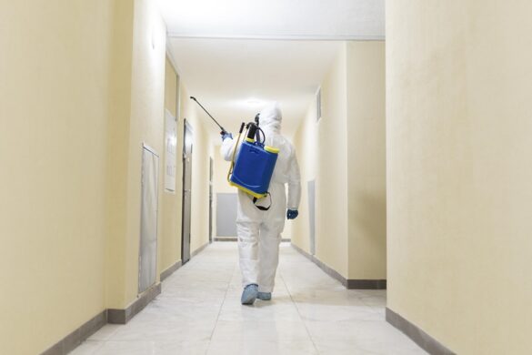 Maintaining A Pest-Free Space