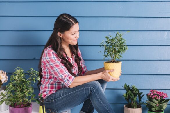 Launching An Online Garden Pot Shop