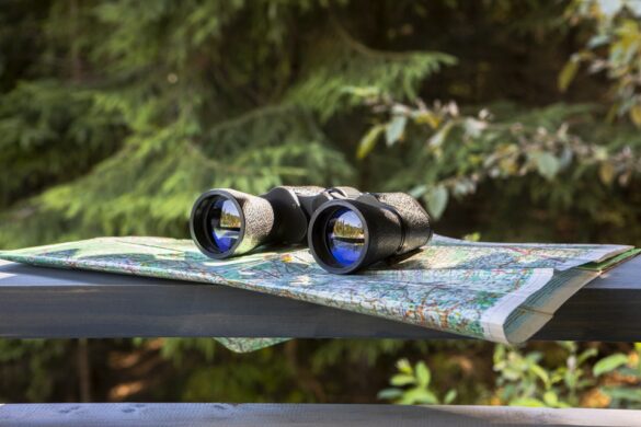 Online Shopping Dynamics For Telescopes And Binoculars