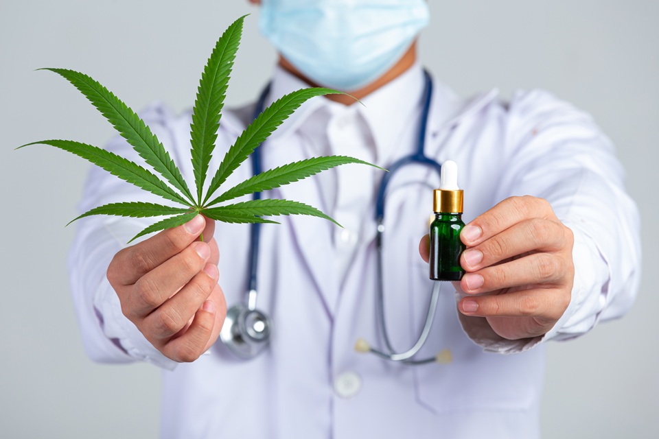 Quality Control & Clinic Choice: What New Zealand Cannabis Patients Are Saying About Dispensed & Market Access