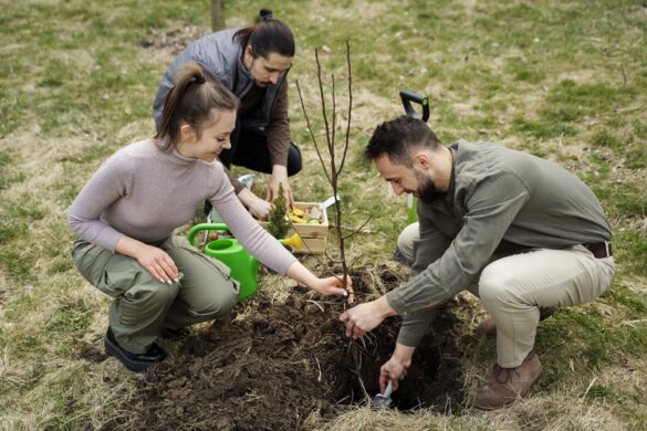 Tree Planting For Healthy Communities